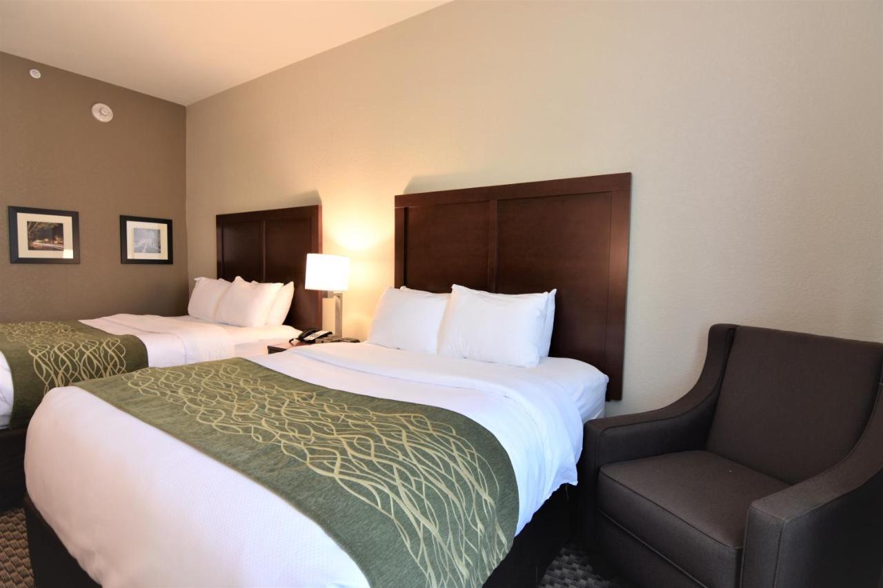 Comfort Inn & Suites Rock Hill Exterior foto